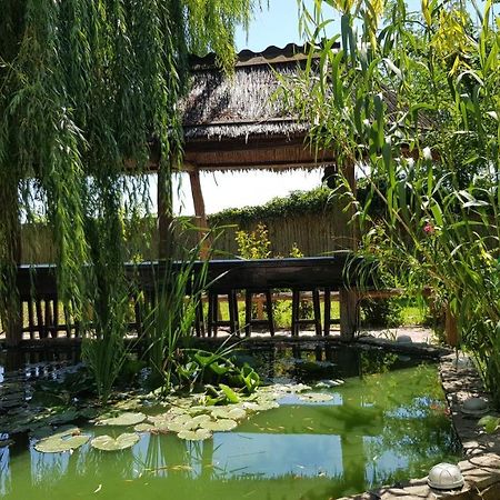 Pensiunea Iubire De Delta " La Traian " 穆里吉奥尔 外观 照片