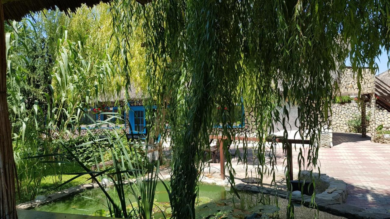 Pensiunea Iubire De Delta " La Traian " 穆里吉奥尔 外观 照片